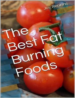 Cover of the book The Best Fat Burning Foods by Daniel Blue