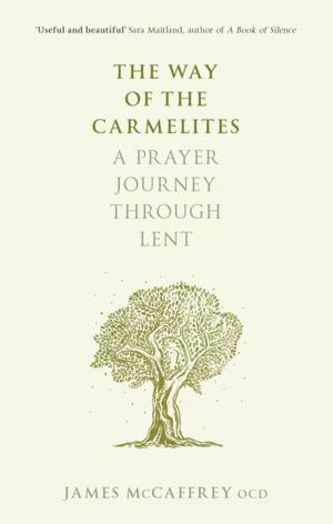 Cover of the book The Way of the Carmelites by Paul Badham