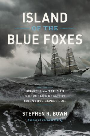 Book cover of Island of the Blue Foxes