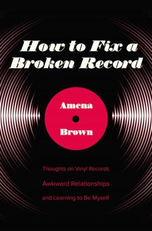 bigCover of the book How to Fix a Broken Record by 