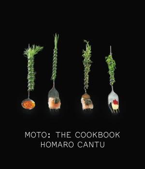 Cover of the book Moto by Katie Crouch