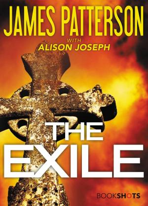 Cover of the book The Exile by Constance J. Hampton