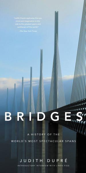 Cover of the book Bridges by Robert Santelli, Jenna Santelli