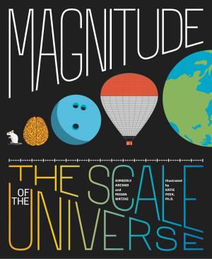 Cover of the book Magnitude by Elizabeth Singer Hunt