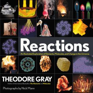 Cover of the book Reactions by Karen Burns