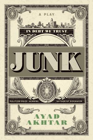 Cover of the book Junk by Tenaya Darlington