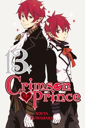Cover of the book Crimson Prince, Vol. 13 by Magica Quartet, Hanokage