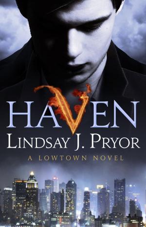 Cover of the book Haven by Michael Bloch