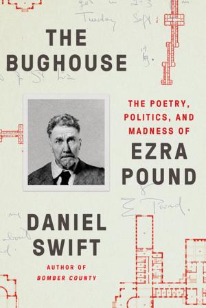Cover of the book The Bughouse by Daniel Lanois