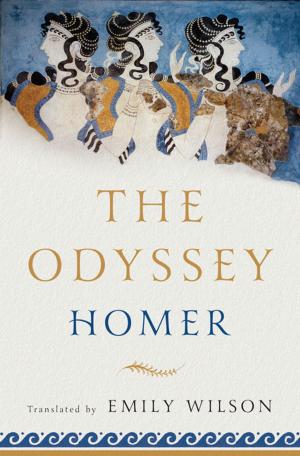 Cover of the book The Odyssey by Bruce Ross-Larson