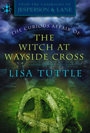 Cover of the book The Curious Affair of the Witch at Wayside Cross by Peter Brazaitis