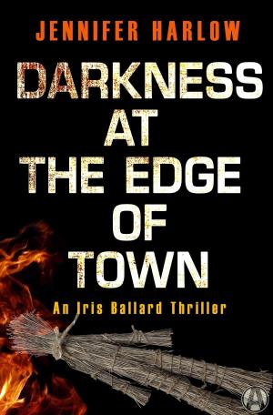 Cover of the book Darkness at the Edge of Town by Jennifer Rebecca