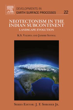Book cover of Neotectonism in the Indian Subcontinent