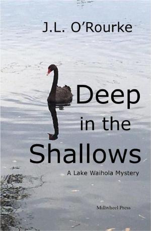Cover of the book Deep in the Shallows by Lora Lindy