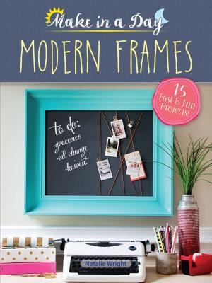 Cover of the book Make in a Day: Modern Frames by Michael C. Gemignani