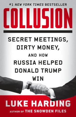 Cover of the book Collusion by Richard Erdoes