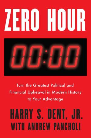 Cover of the book Zero Hour by Lindsey Biel, Nancy Peske