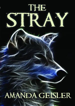 Cover of the book The Stray by Ella Hazelwood, Sabrina RG Raven, Mitchell Tierney
