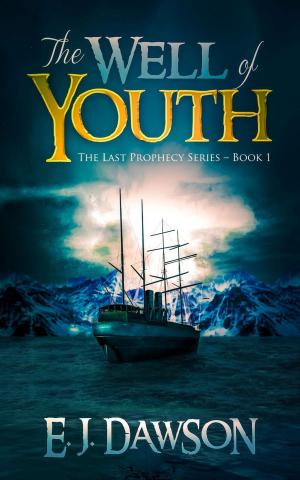 Cover of the book The Well of Youth by Bryan Cassiday