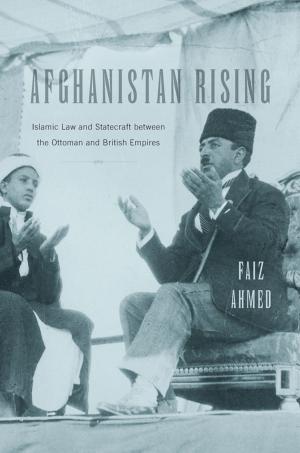 Book cover of Afghanistan Rising