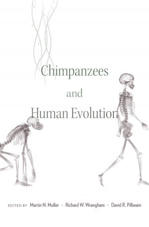 bigCover of the book Chimpanzees and Human Evolution by 
