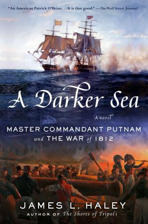 Cover of the book A Darker Sea by Jessica Fletcher, Donald Bain