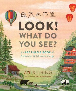 Cover of the book Look! What Do You See? by David A. Adler