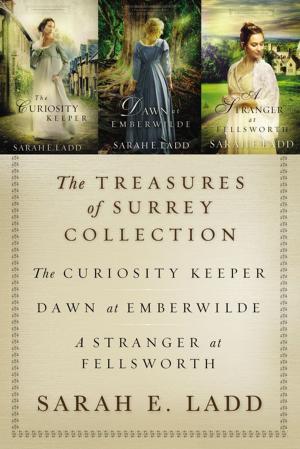 Book cover of The Treasures of Surrey Collection