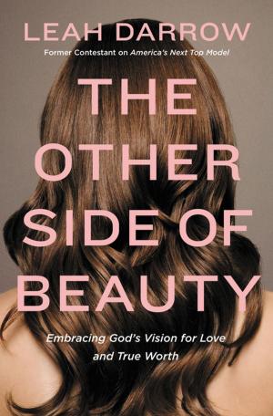 Cover of the book The Other Side of Beauty by Don Williams