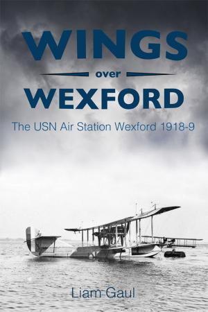 Cover of the book Wings over Wexford by Jennifer Hobhouse Balme