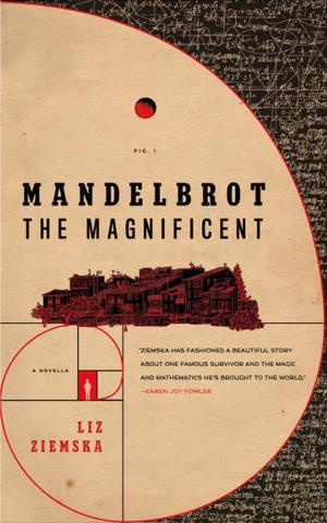 Cover of the book Mandelbrot the Magnificent by Peter David