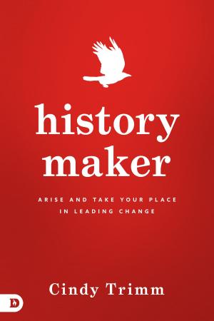 Book cover of History Maker