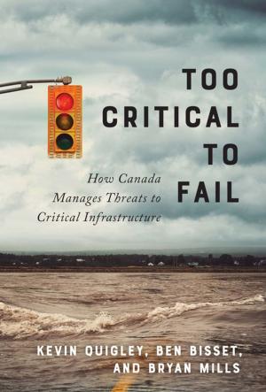 Cover of the book Too Critical to Fail by 