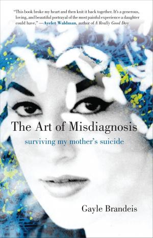 Cover of the book The Art of Misdiagnosis by Lillian Faderman