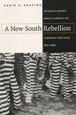 Cover of the book A New South Rebellion by Sebastian Windsor