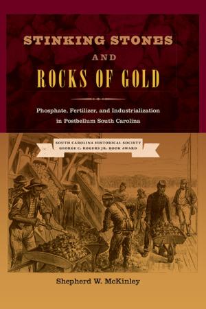 Cover of the book Stinking Stones and Rocks of Gold by Gil Brewer, edited by David Rachels
