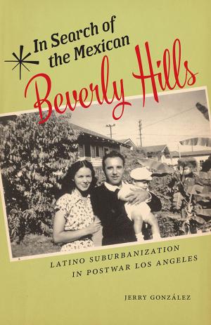 Cover of the book In Search of the Mexican Beverly Hills by Diana R. Gordon