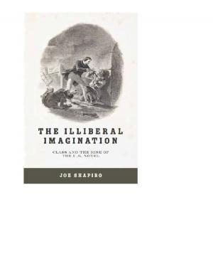 Cover of the book The Illiberal Imagination by Jennifer K. Ladino