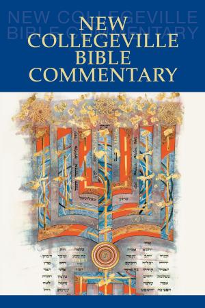 Cover of the book New Collegeville Bible Commentary by Barbara  E. Reid OP