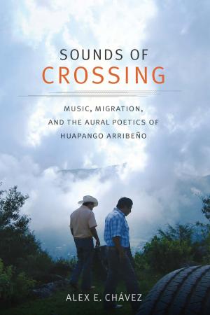 Cover of the book Sounds of Crossing by Annette Kolodny