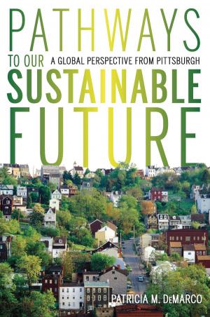 bigCover of the book Pathways to Our Sustainable Future by 
