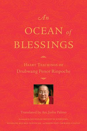 Cover of the book An Ocean of Blessings by Jean Van't Hul