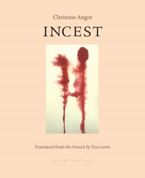 Cover of the book Incest by Dominique Fabre