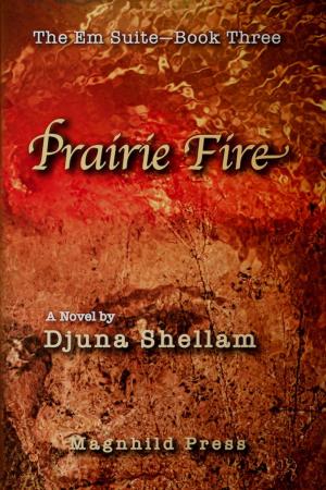 Cover of the book Prairie Fire by Lúcia Facco