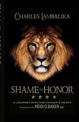 Cover of the book SHAME to HONOR by Kelechukwu Uwanuruochi