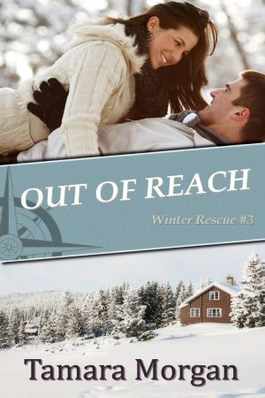 Cover of the book Out of Reach by Sue Mercury, Sue Lyndon