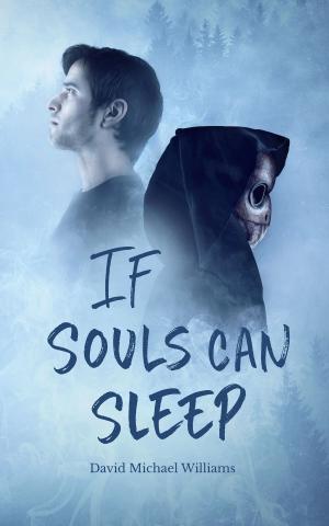 Book cover of If Souls Can Sleep (Book One of The Soul Sleep Cycle)