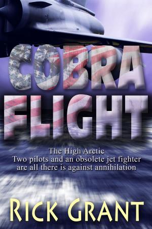 Cover of the book Cobra Flight by David Tracey
