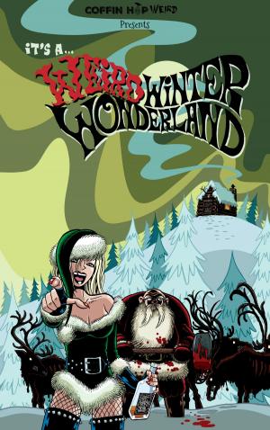 Book cover of It's A Weird Winter Wonderland
