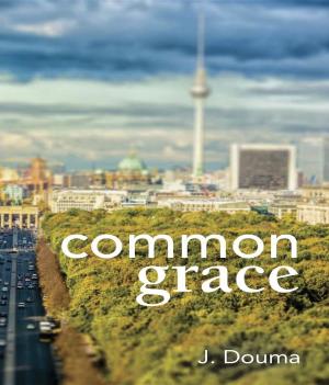 bigCover of the book Common Grace in Kuyper, Schilder, and Calvin by 